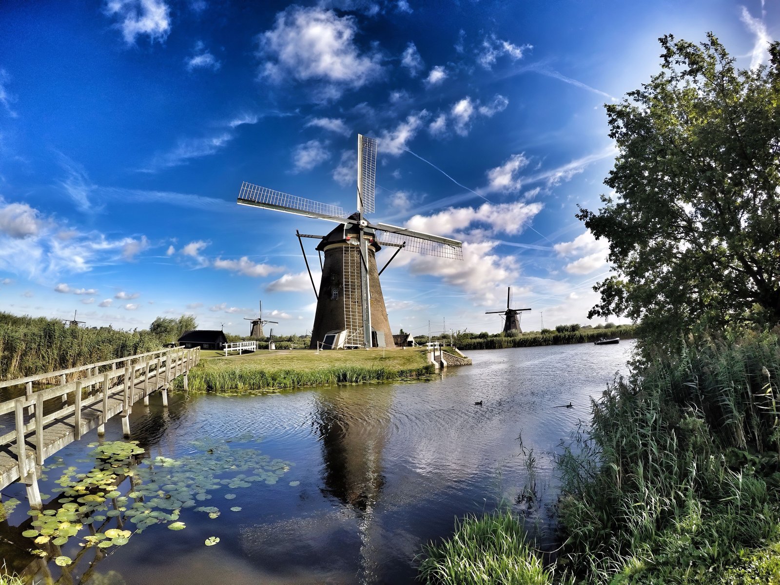 Kinderdijk